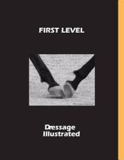 DI First-Level-L_large